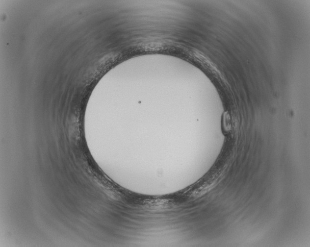 X0000071770497200607282217