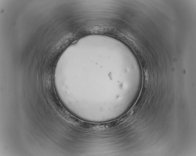 X0000071770499200607282217