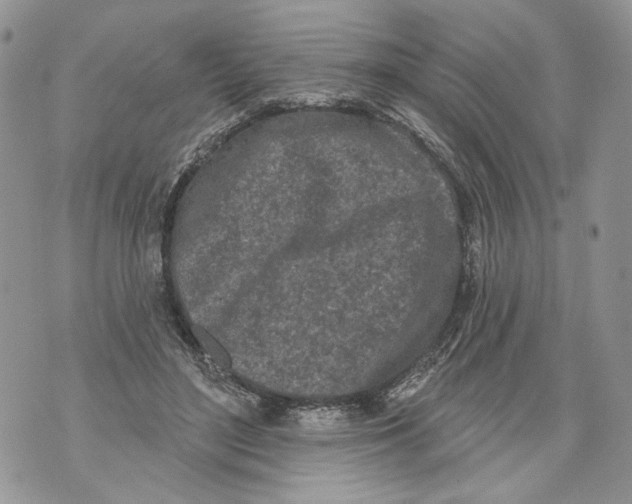 X0000071770500200607282216