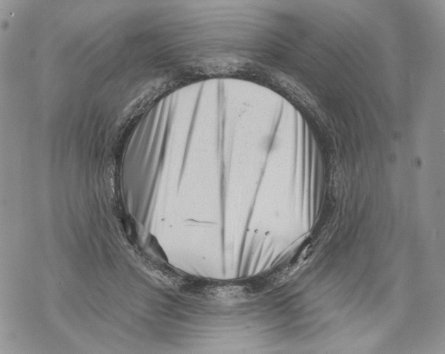 X0000071770501200607282216