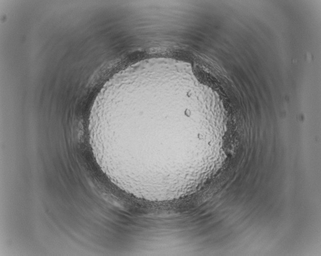 X0000071770502200607282216