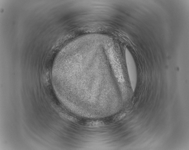 X0000071770503200607282216