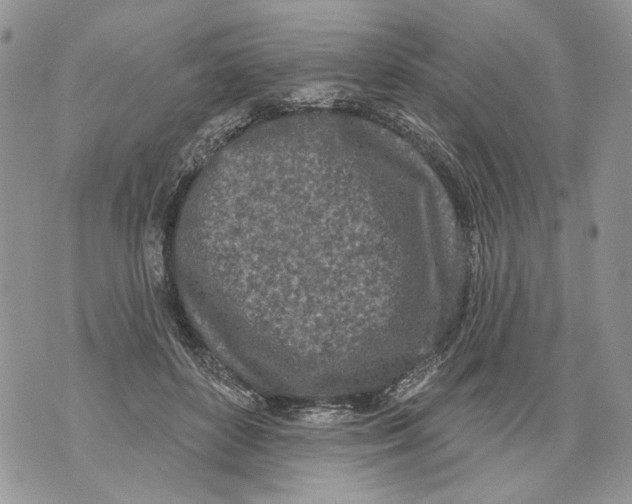 X0000071770504200607282216