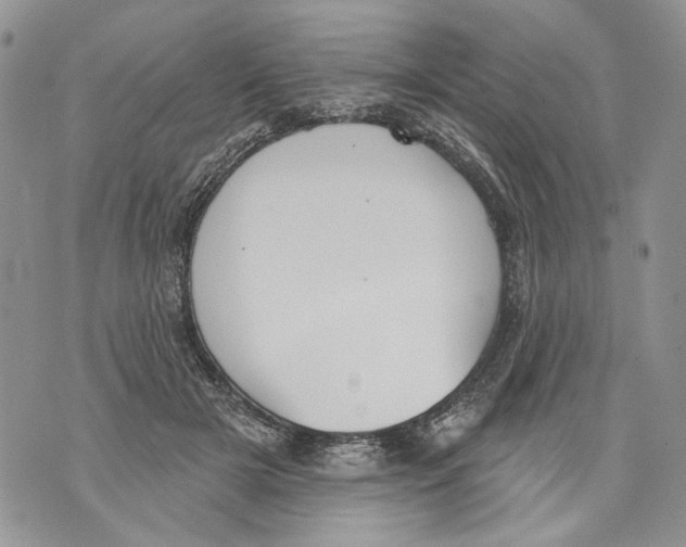 X0000071770505200607282216