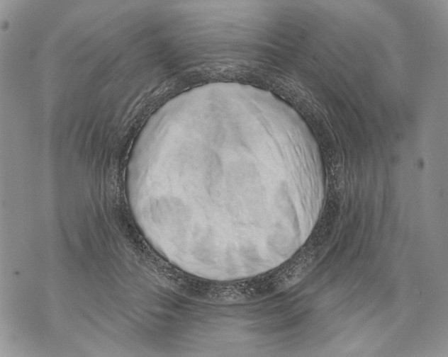 X0000071770506200607282216