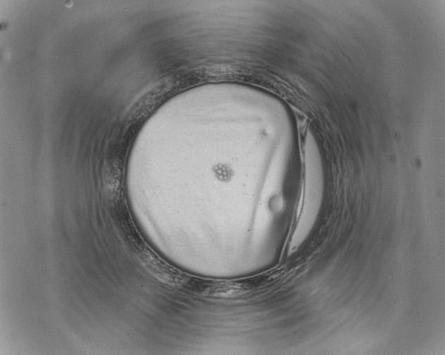 X0000071770507200607282216