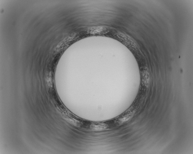 X0000071770510200607282216