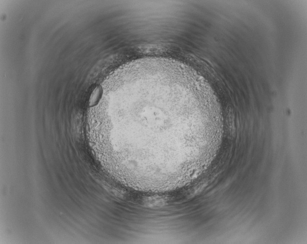 X0000071770511200607282216