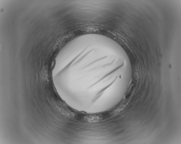 X0000071770512200607282216