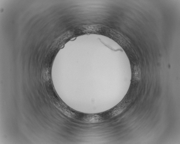 X0000071770514200607282216