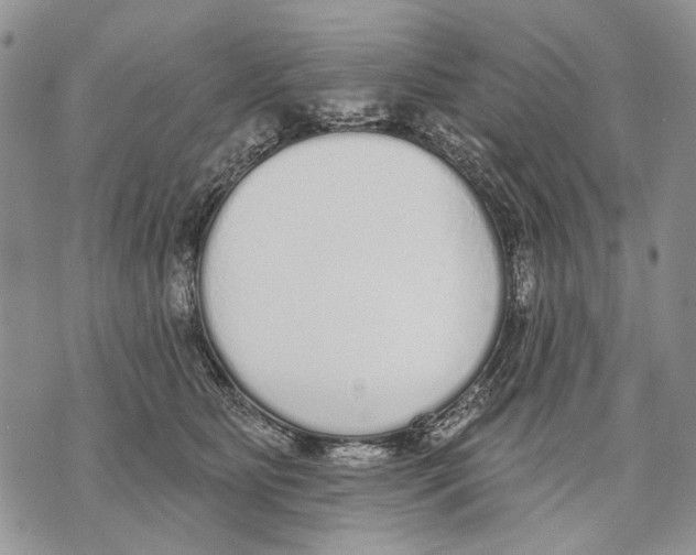 X0000071770515200607282216