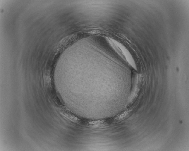 X0000071770516200607282216