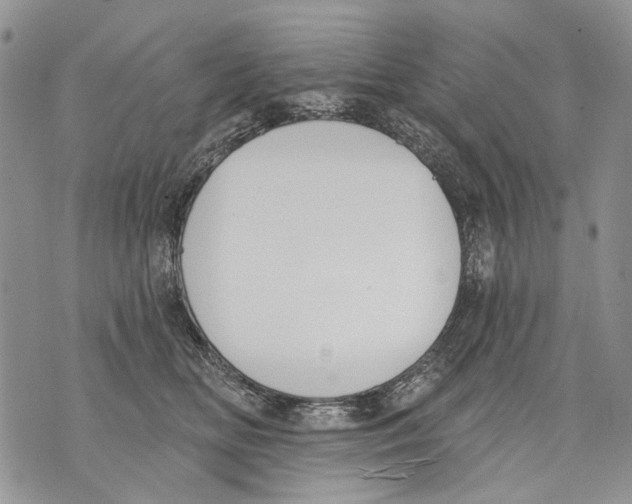 X0000071770518200607282216