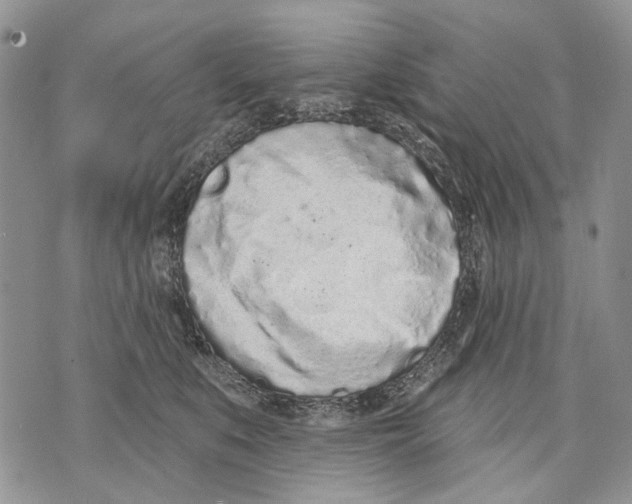 X0000071770519200607282216