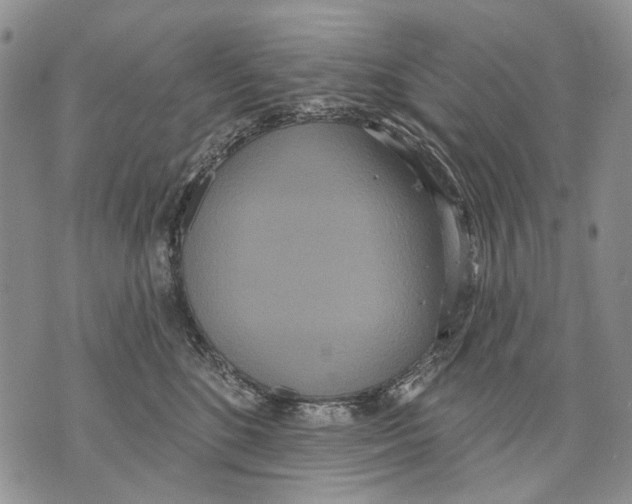 X0000071770520200607282216