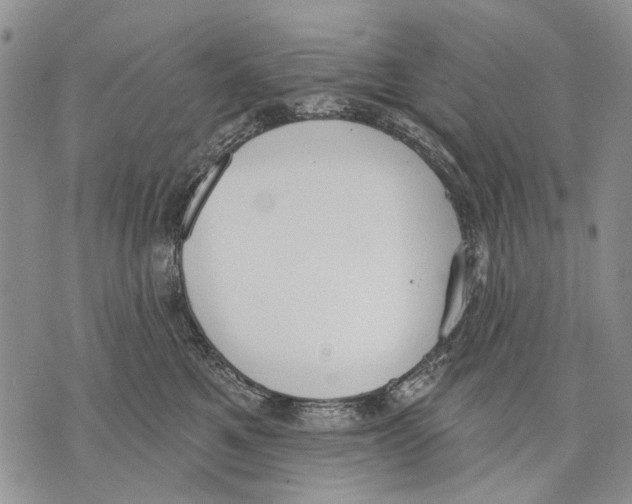 X0000071770521200607282216