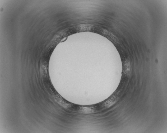 X0000071770522200607282216