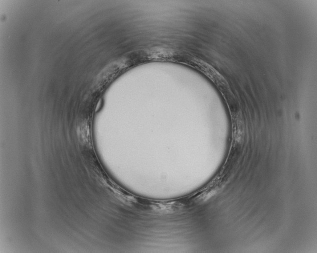 X0000071770523200607282216