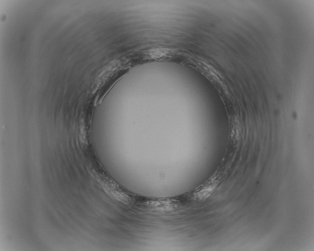 X0000071770524200607282216