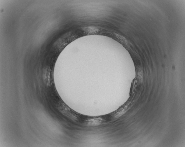 X0000071770525200607282216