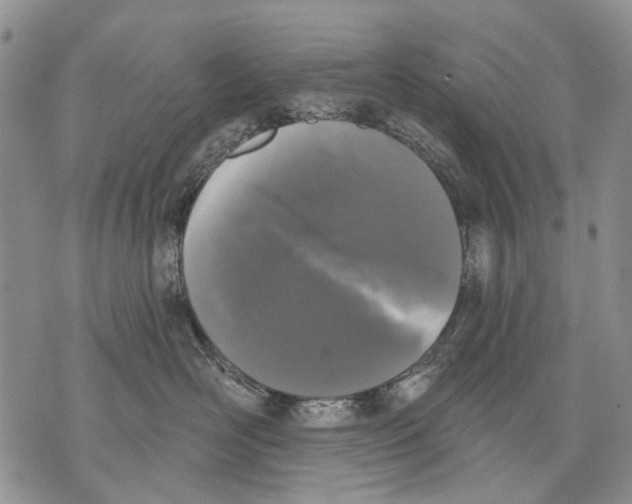 X0000071770526200607282216