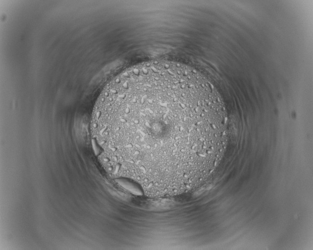 X0000071770527200607282216