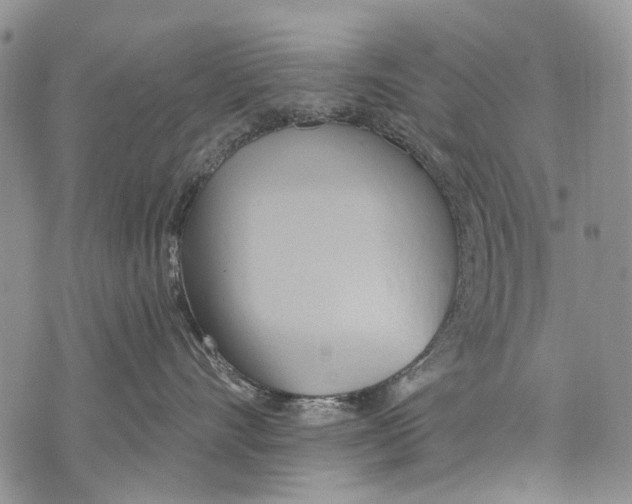 X0000071770528200607282216