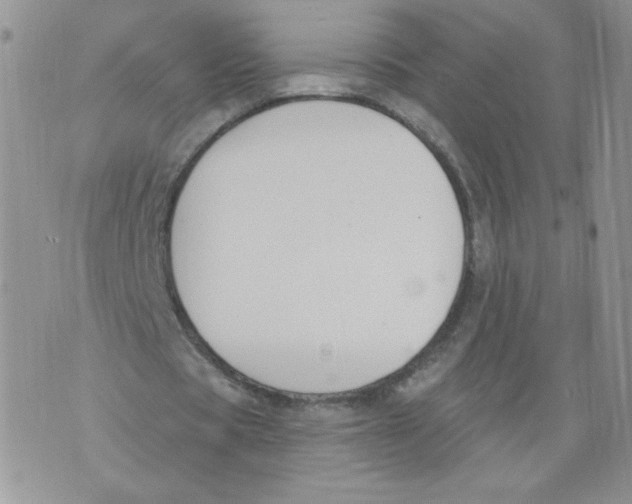 X0000071770529200607282215