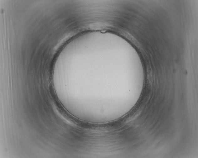 X0000071770530200607282215