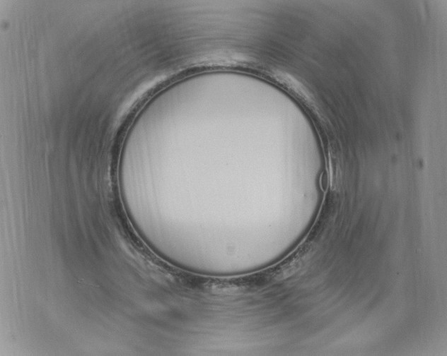 X0000071770531200607282215