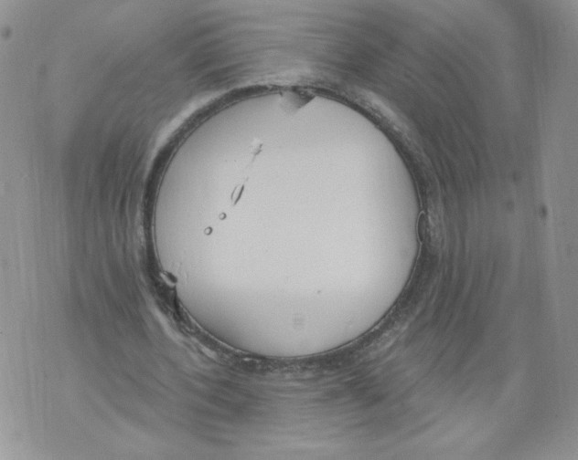 X0000071770532200607282215