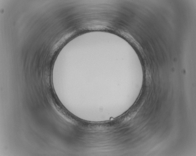 X0000071770533200607282215