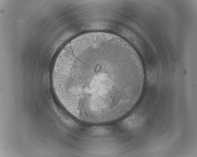 X0000071770534200607282215