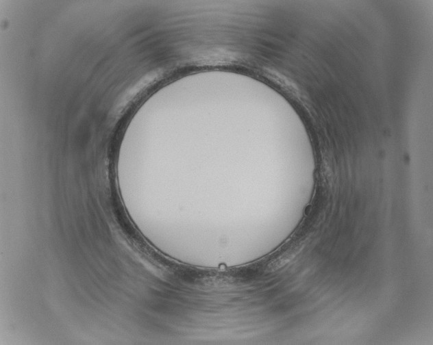 X0000071770535200607282215