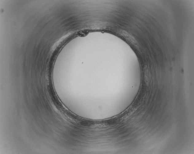 X0000071770536200607282215