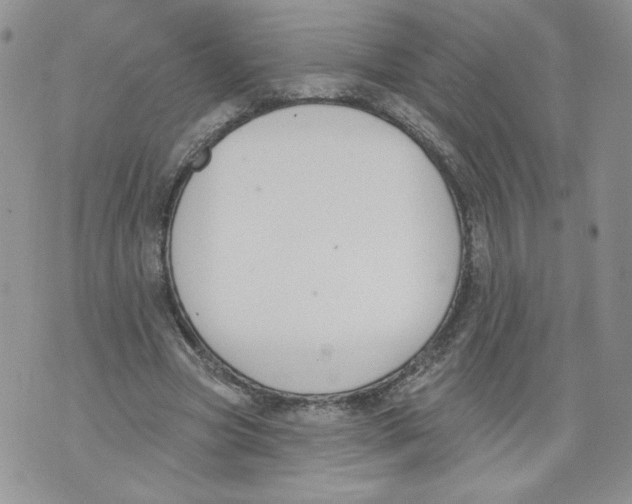 X0000071770537200607282215