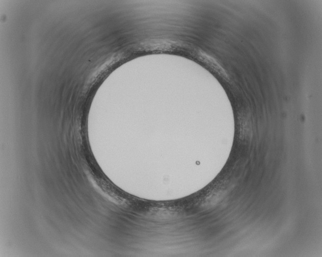 X0000071770538200607282215