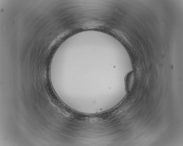 X0000071770539200607282215