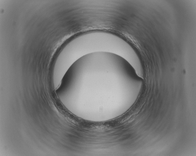 X0000071770540200607282215