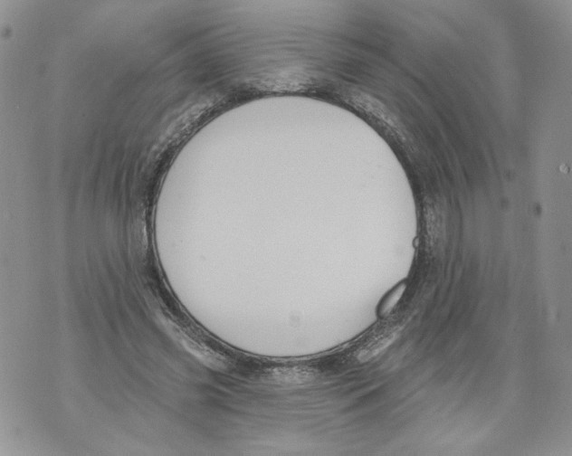 X0000071770541200607282215