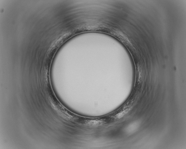 X0000071770542200607282215