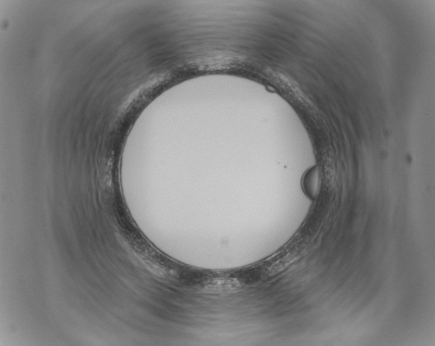 X0000071770543200607282215