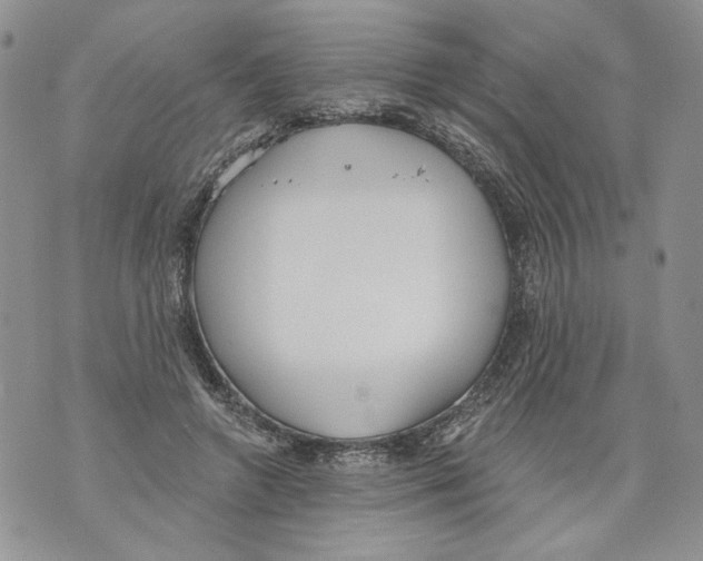 X0000071770546200607282216