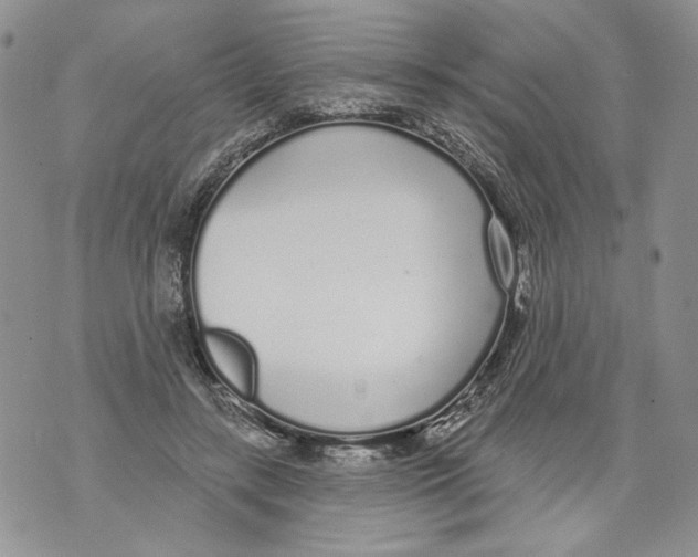 X0000071770547200607282216