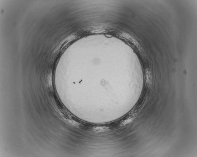 X0000071770549200607282216