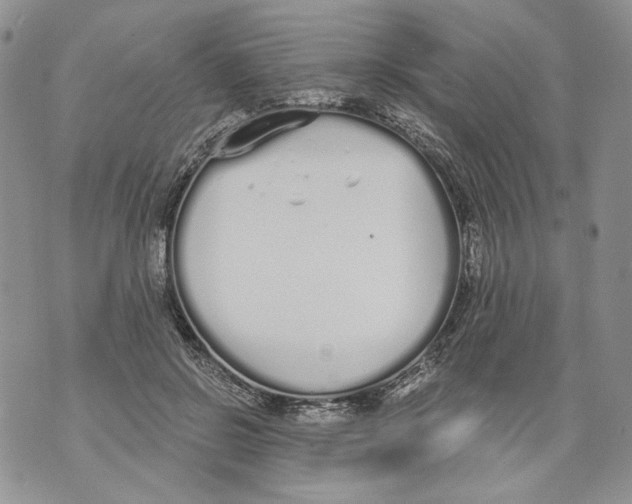 X0000071770550200607282216