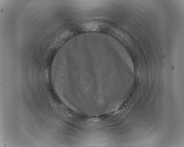 X0000071770551200607282216