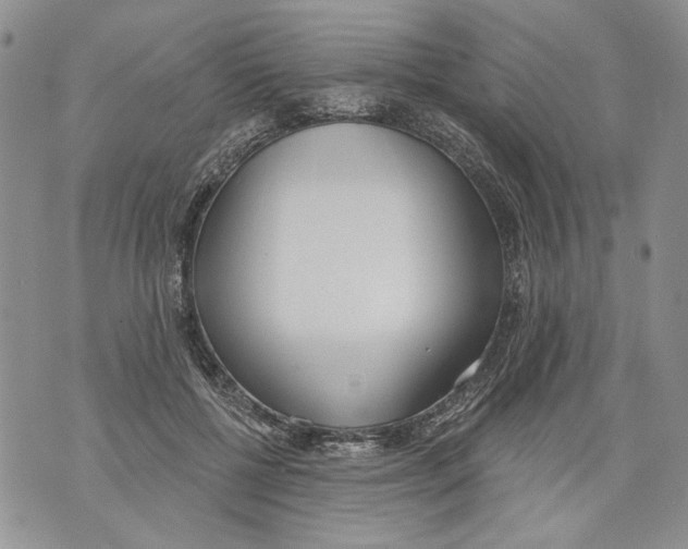 X0000071770552200607282216