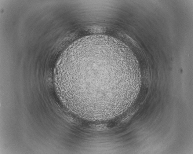 X0000071770553200607282216