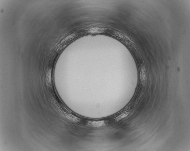 X0000071770554200607282216